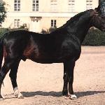 Varolio