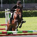 Foxy - OOM-B 2005<br />&copy; K. B. /voltahorse.pl