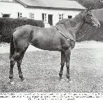 Brownhylda