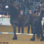 Feitse 293