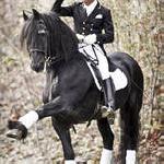 Gerlof 294