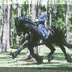 Gerlof 294