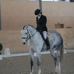 Lord Estel-W