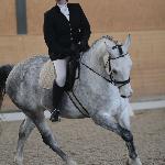 Lord Estel-W