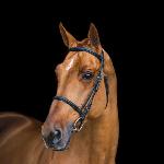 Epleaser van't Heike