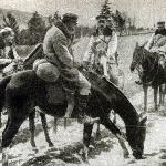 Kasztanka ex Fantazja<br />&copy; Źródło: Equista<br /><i>zima 1914</i>