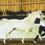 Normativ
