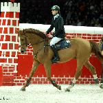 Camelot van de Dorpshoeve - CSI-W** Warszawa 2011<br />&copy; Oliwia Chmielewska