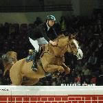 Camelot van de Dorpshoeve - CSI-W** Warszawa 2011<br />&copy; Oliwia Chmielewska