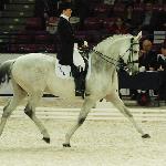 Gulden - CDI- W Warszawa 2011<br />&copy; Oliwia Chmielewska
