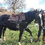 Bajka