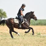Wróżbita II