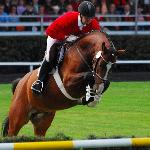 Chalone - Parada Ogierów, Celle 2009<br />&copy; Oliwia Chmielewska