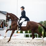 Shosholoza<br />&copy; Julia Świętochowska<br /><i>fb dressage24.pl</i>