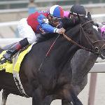 Medaglia d'Oro