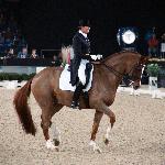 Herzruf's Erbe - Herzruf?s Erbe & Ulla Salzgeber - CDI5* Mechelen 2013<br />&copy; World Dressage Masters