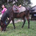 Erson - erson:)<br />&copy; G.Tullin 2011