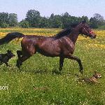 Erson - erson:)<br />&copy; G.Tullin 2012