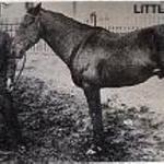Little Joe