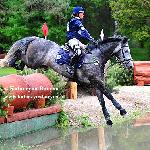 Lancelot - Biały Bór 2011<br />&copy; Katarzyna Boryna