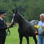 Kalua W<br />&copy; Stajnia Jastrzębniki