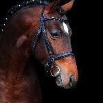 Malibou<br />&copy; Oliwia Chmielewska