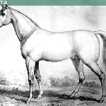 Messenger