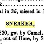 Sneaker - GSB IV str.437 2edycja