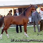 Elar - Elar 2011<br />&copy; Irina Filsinger