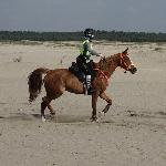 Modra