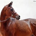 Wieża Mocy - październik 2019<br />&copy; Anna Pyzara-Nakoniechnaia