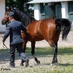 Bernadetta - Bernadetta 2017<br />&copy; Anna Pyzara-Nakoniechnaia