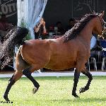 Bernadetta - Bernadetta 2016<br />&copy; Anna Pyzara-Nakoniechnaia