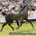 Lady Serenada - Lady Serenada 2011<br />&copy; Irina Filsinger