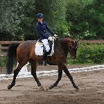 Discovery - ZR-A Reda 2014<br />&copy; Baza Koni