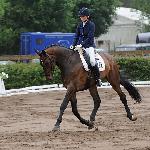 Discovery - ZR-A Reda 2014<br />&copy; Baza Koni
