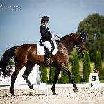 Discovery<br />&copy; Julia Świętochowska<br /><i>fb dressage24.pl</i>