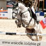 Apollo-L<br />&copy; Katarzyna Boryna - www.katarzynaboryna.pl