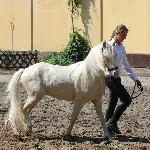 Ares