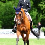 Off Set - Strzegom Horse Trials 2011<br />&copy; Katarzyna Boryna