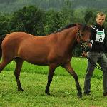 Felicita - Nowa Łomnica 16 sierpnia 2014