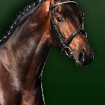 Florentinus V