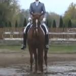 Kira - październik 2012<br /><i>Kadr z filmu na youtube</i>