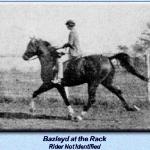 Bazleyd