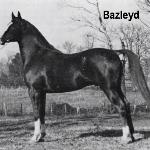 Bazleyd