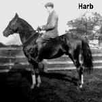 Harb