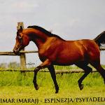 Espimar<br />&copy; Sylwia Iłenda
