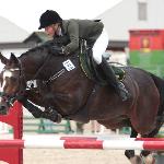 Bartino<br /><i>https://www.kjagrohandel.pl/pl/horses/horses-sold/176-bartino.html</i>