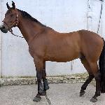 Serock - 2009r.