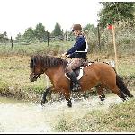 Pako - Dni Huculskie 2012<br />&copy; Beata Gan